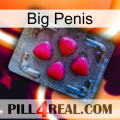 Big Penis 13